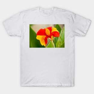 cli Daffodil T-Shirt